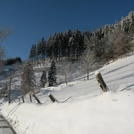 Gæstehus Landgasthof Nesselbach 3*