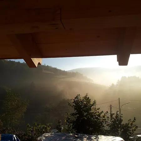Gæstehus Landgasthof Nesselbach